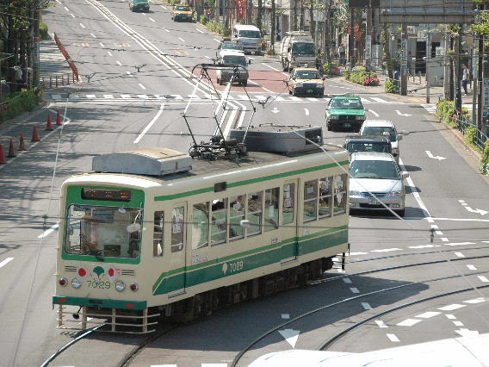 Sakura Tram
